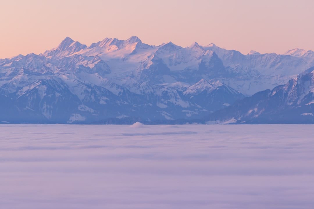 https://img3.utuku.imgcdc.com/628x0/ent/20250905/829358b9-f78a-4637-a189-7c2b91698615.jpg